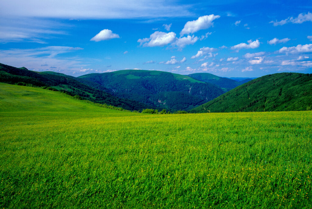 Paysage des montagnes vosgiennes au printemps en Alsace en Franc